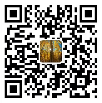 yd77699云顶国际